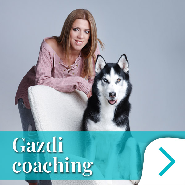 Gazdi coaching